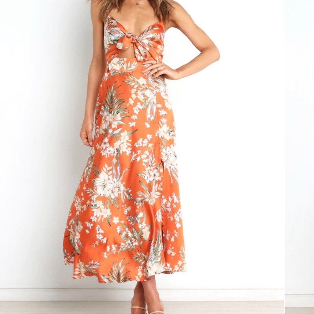 Petal & Pup Whitmore Dress